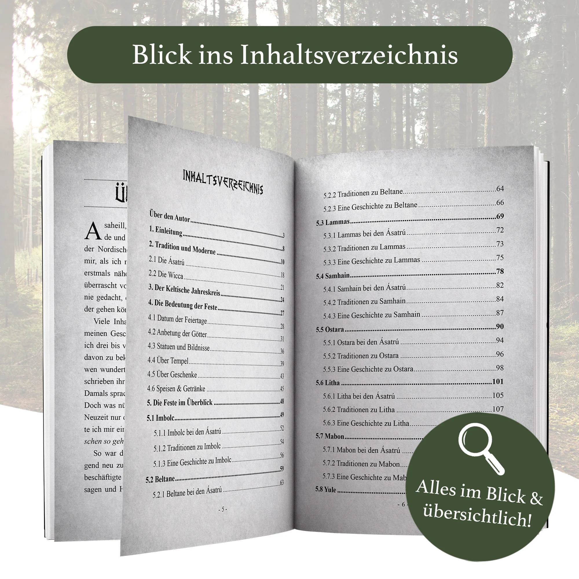 Vorschaubild 6