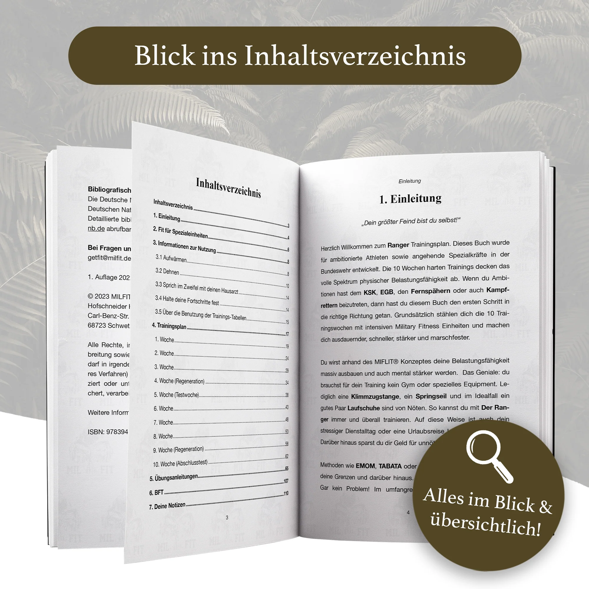 Vorschaubild 6